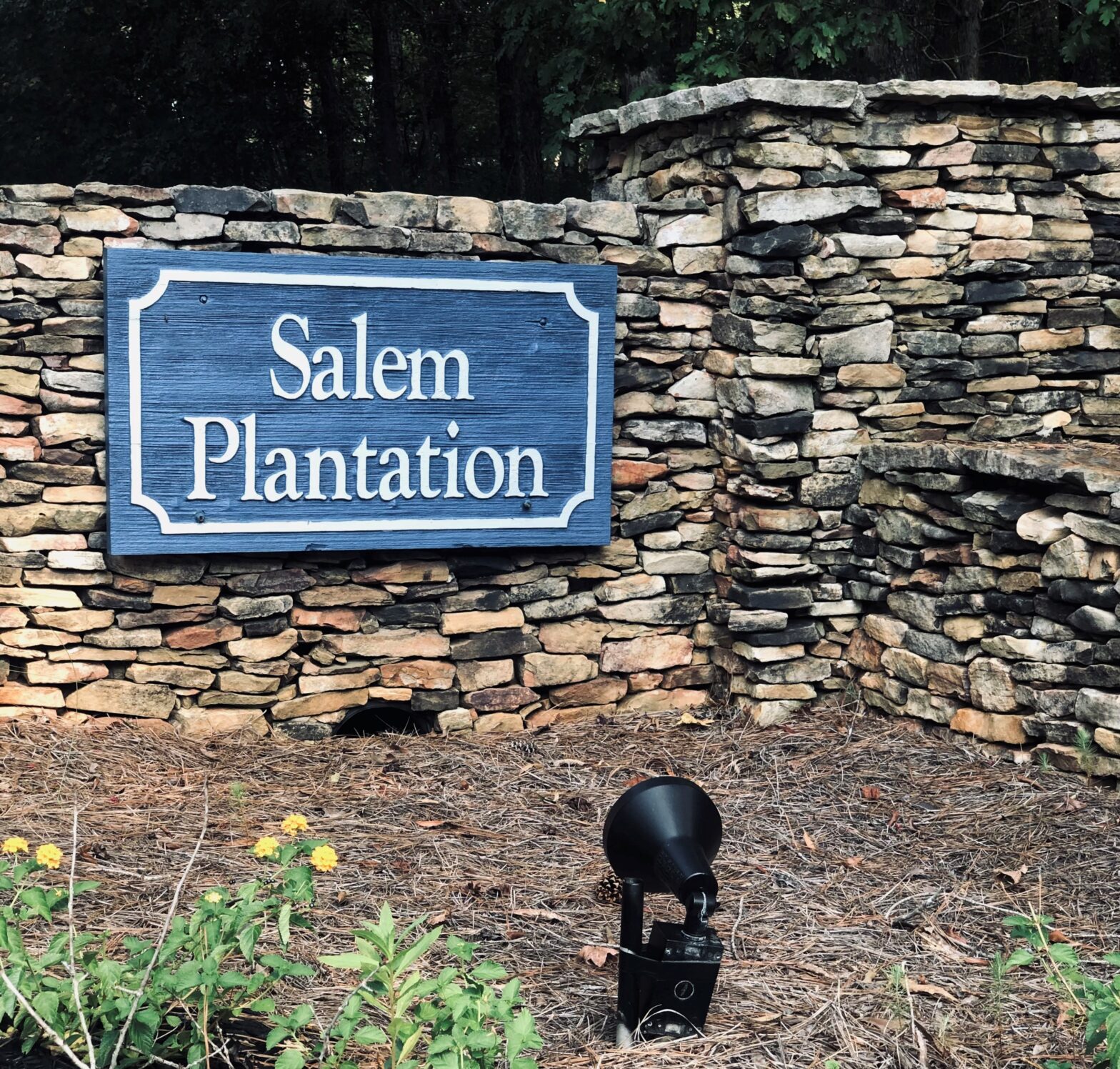SALEM PLANTATION